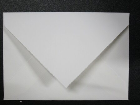 250 ex. (Blanco) Kaarten 4 pag. 11,5 x 17 cm Oud Hollands